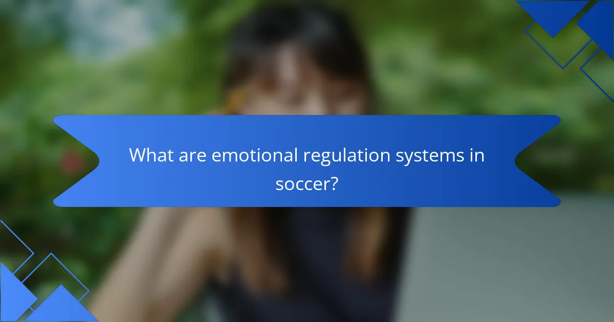 What are emotional regulation systems in soccer?