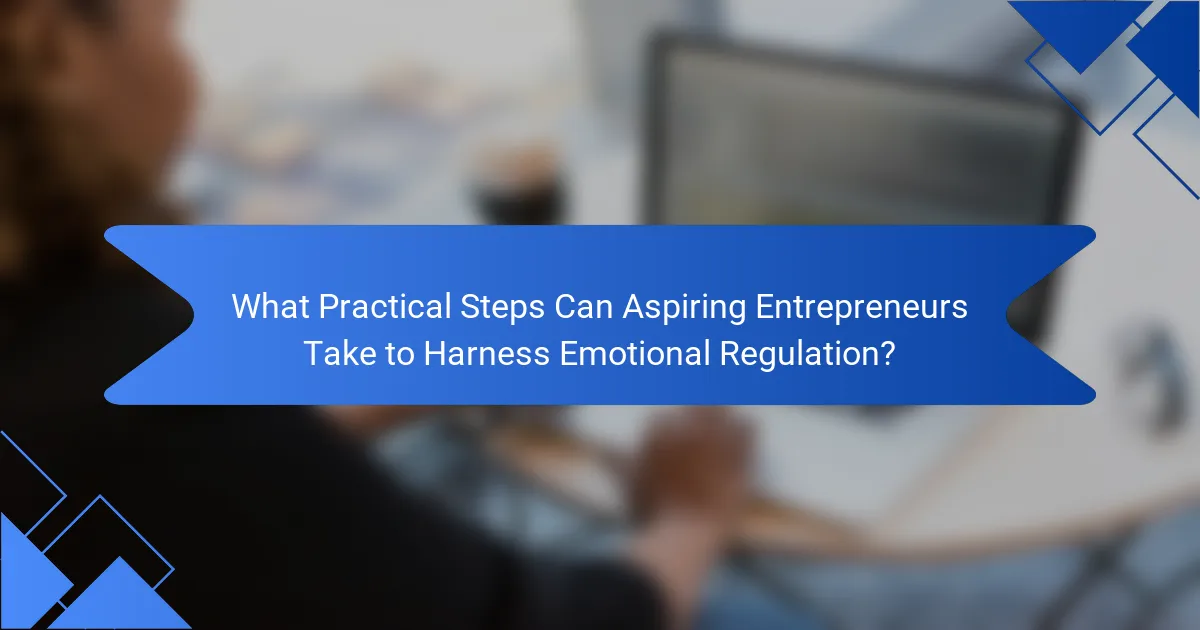 What Practical Steps Can Aspiring Entrepreneurs Take to Harness Emotional Regulation?